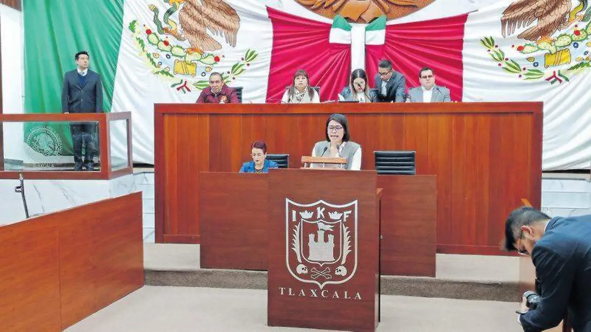 Congreso, Diana torrejón